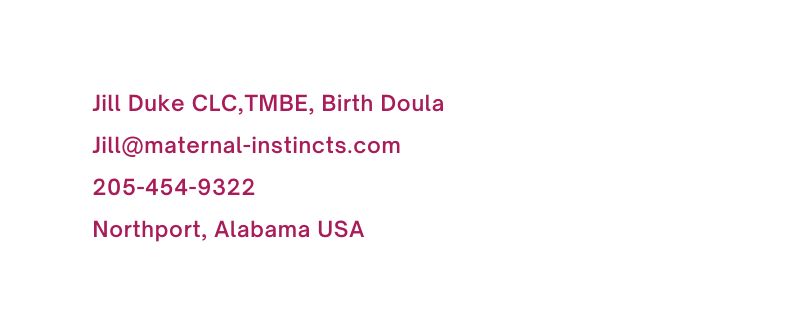 Jill Duke CLC TMBE Birth Doula Jill maternal instincts com 205 454 9322 Northport Alabama USA